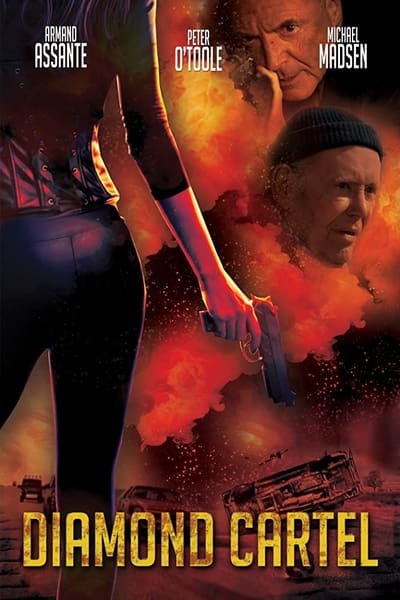 Download Diamond Cartel (2017) Dual Audio {Hindi-English} Movie 480p | 720p HDRip 300MB | 800MB