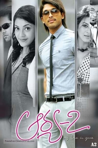 Download Arya 2 (2009) Dual Audio {Hindi-Telugu} Movie 480p | 720p | 1080p HDRip ESub