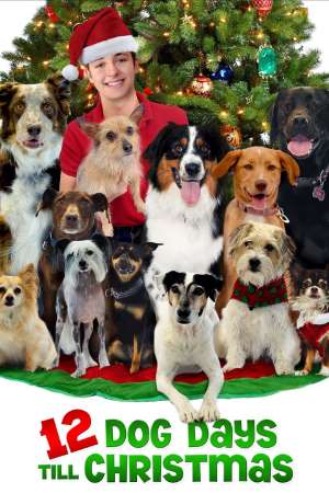 Download 12 Dog Days Till Christmas (2014) Dual Audio {Hindi-English} Movie 480p | 720p HDRip 300MB | 1.1GB