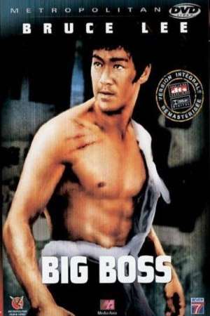 Download The Big Boss (1971) Dual Audio {Hindi-Chinese} Movie 480p | 720p | 1080p BluRay ESub