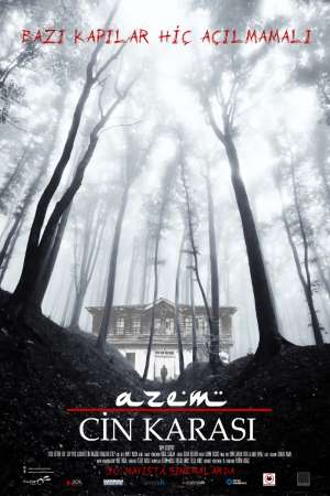 Download Azem: Cin Karasi (2014) Dual Audio {Hindi-Turkish} Movie 480p | 720p HDRip 280MB | 550MB