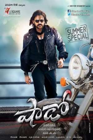 Download Shadow (2013) UNCUT Dual Audio {Hindi-Telugu} Movie 480p | 720p | 1080p HDRip 500MB | 1.6GB