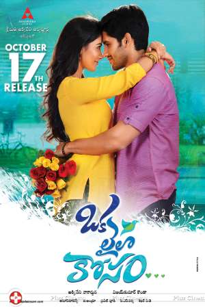 Download Oka Laila Kosam (Love Action Dhamaka) (2014) Dual Audio {Hindi-Telugu} Movie 480p | 720p | 1080p HDRip 450MB | 1.2GB