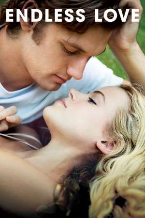 Download Endless Love (2014) Dual Audio {Hindi-English} Movie 480p | 720p | 1080p BluRay 350MB | 950MB
