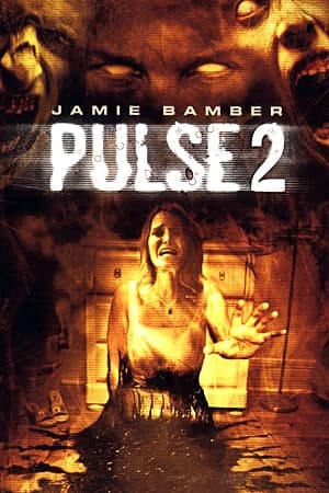 Download Pulse 2: Afterlife (2008) Dual Audio {Hindi-English} Movie 480p | 720p | 1080p WEB-DL 300MB | 900MB