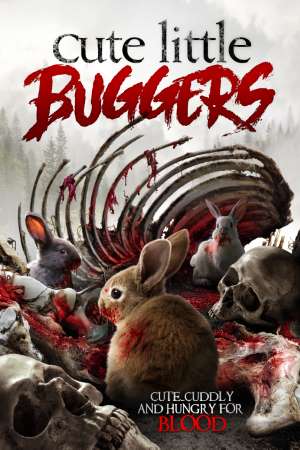 Download Cute Little Buggers (2017) Dual Audio {Hindi-English} Movie 480p | 720p BluRay ESub