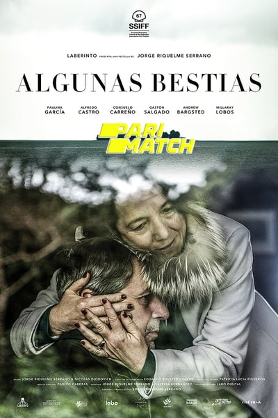 Download Algunas Bestias (2019) Hindi Dubbed (Voice Over) Movie 480p | 720p CAMRip