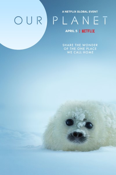 Download Our Planet (Season 01-02) Dual Audio {English-Hindi} Web Series 720p | 1080p WEB-DL Esub