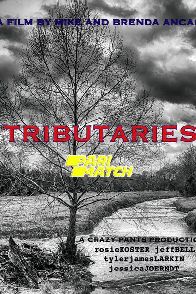 Download Tributaries (2021) Hindi Dubbed (Voice Over) Movie 480p | 720p WEBRip Download Tributaries (2021) Hindi Dubbed (Voice Over) Movie 480p | 720p WEBRip