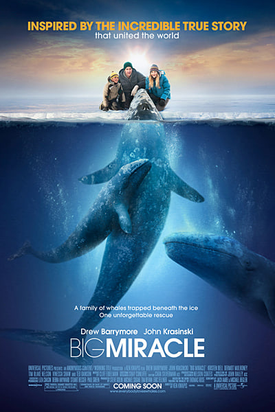 Download Big Miracle (2012) Dual Audio {Hindi-English} Movie 480p | 720p | 1080p BluRay ESub