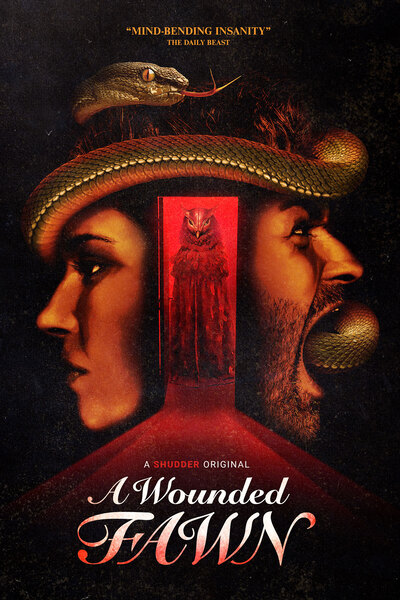 Download A Wounded Fawn (2022) Hindi Dubbed (Voice Over) Movie 480p | 720p WEBRip Download A Wounded Fawn (2022) Hindi Dubbed (Voice Over) Movie 480p | 720p WEBRip