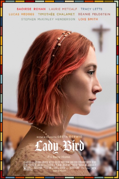 Download Lady Bird (2017) Dual Audio {Hindi-English} Movie 480p | 720p | 1080p Bluray ESubs