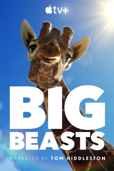 Download Big Beasts (Season 1) English WEB Series 720p | 1080p WEB-DL ESub