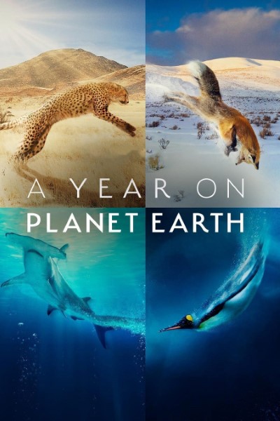 Download A Year on Planet Earth (Season 1) English Web Series 720p | 1080p WEB-DL Esub