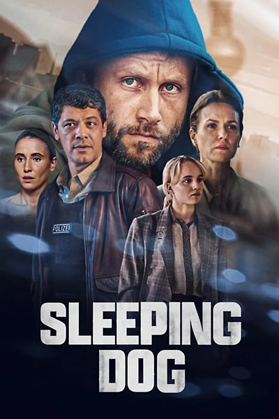 Download Sleeping Dog (Season 1) Dual Audio {Hindi-English} NetFlix WEB Series 480p | 720p | 1080p WEB-DL ESub