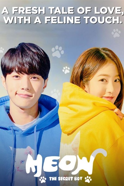 Download Meow The Secret Boy (Season 01) Hindi Web Series 720p | 1080p WEB-DL ESub