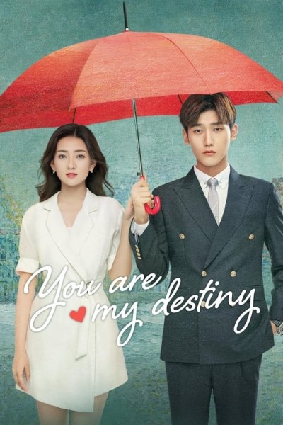 Download You Are My Destiny (Season 01) Dual Audio {Hindi-Korean} Web Series 720p | 1080p WEB-DL ESub