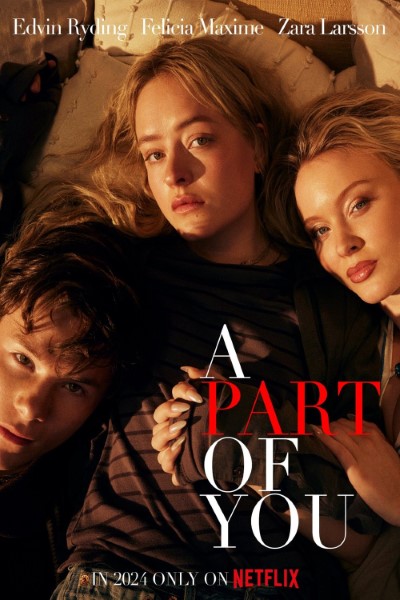 Download A Part of You (2024) Multi Audio {Hindi-English-Swedish} Movie 480p | 720p | 1080p WEB-DL