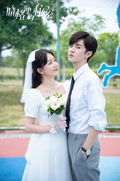 Download Our Secret (Season 01) Dual Audio {Hindi-Chinese} Web Series 480p | 720p | 1080p WEB-DL ESub