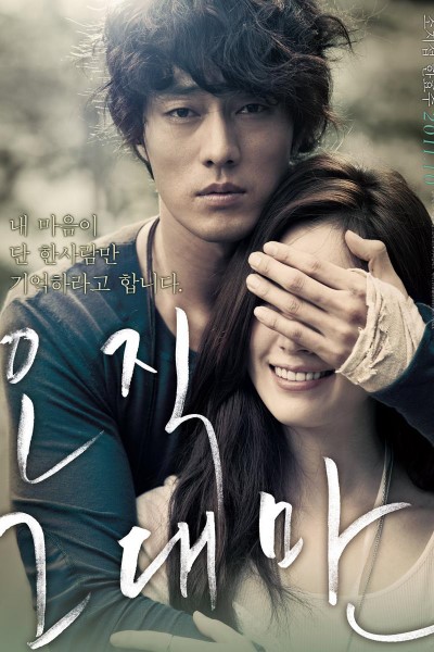 Download Always (2011) Dual Audio {Hindi-Korean} Movie 480p | 720p | 1080p Bluray ESub