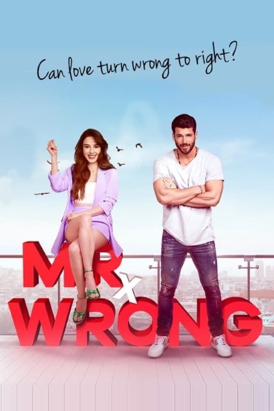 Download Mr. Wrong (Season 01) Hindi Dubbed Web Series 720p | 1080p WEB-DL ESub || [S01E20 Added]
