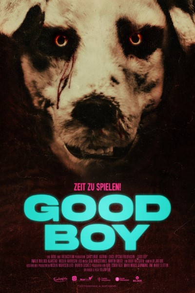 Download Good Boy (2022) Dual Audio {Hindi-Norwegian} Movie 480p | 720p | 1080p Bluray ESub