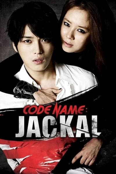 Download Codename: Jackal (2012) Korean Movie 480p | 720p | 1080p Web-DL ESubs