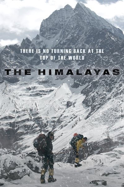 Download The Himalayas (2015) Dual Audio [Hindi-Korean] Movie 480p | 720p | 1080p BluRay ESub