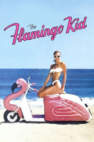 Download The Flamingo Kid (1984) English Movie 480p | 720p | 1080p BluRay ESub