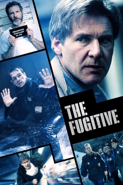 Download The Fugitive (1993) Dual Audio [Hindi-English] Movie 480p | 720p | 1080p BluRay ESub