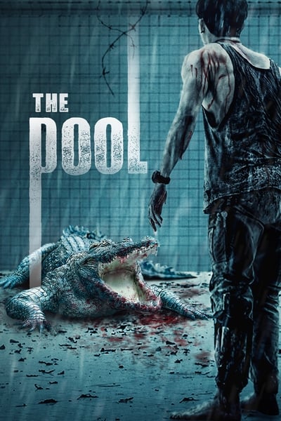 Download The Pool (2018) Dual Audio {Hindi-Thai} Movie 480p | 720p | 1080p BluRay ESub