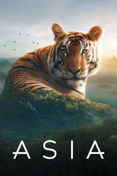 Download Asia (Season 1) English WEB Series 720p | 1080p Web-DL ESub