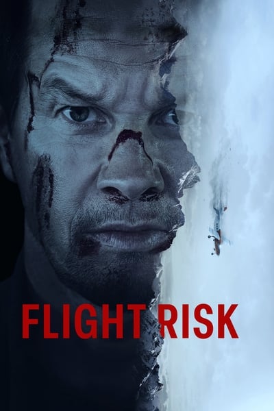 Download Flight Risk (2025) English Movie 480p | 720p | 1080p WEB-DL ESub