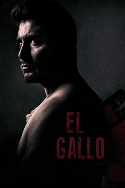Download El Gallo (2018) Dual Audio [Hindi-English] Movie 480p | 720p | 1080p WEB-DL ESub