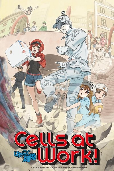 Download Cells at Work! (Season 01) Multi Audio {Hindi-English-Japanese} WEB Series 480p | 720p | 1080p Bluray ESub