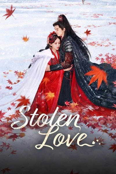 Download Stolen Love (Season 01) Chinese WEB Series 1080p Web-DL ESub