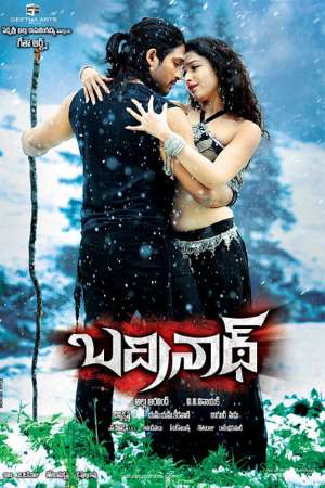 Download Badrinath (2011) Dual Audio [Hindi-Telugu] Movie 480p | 720p | 1080p BluRay ESub