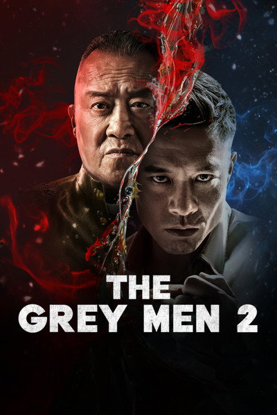 Download The Grey Men 2 (2025) Dual Audio [Hindi-Chinese] Movie 480p | 720p | 1080p WEB-DL ESub
