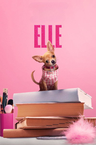 Download Elle (Season 1) Dual Audio [Hindi-English] WEB Series 480p | 720p | 1080p WEB-DL ESub