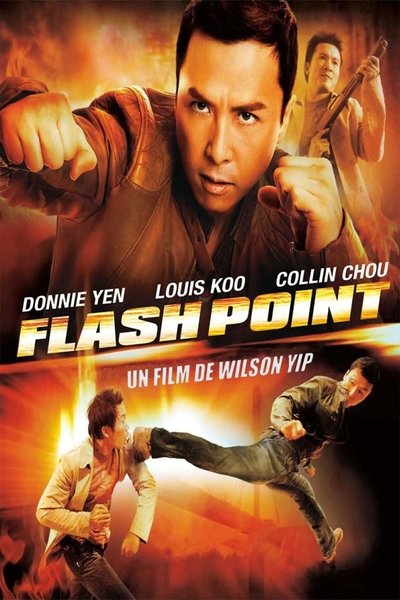 Download Flash Point (2007) Dual Audio {Hindi-Chinese} Movie 480p | 720p | 1080p BluRay ESub
